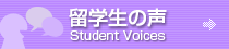 留学生の声 Student Voices