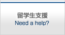 留学生支援 Need a help?